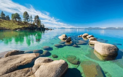 Praesent Ipsum Maecenas faucibus mollis interdum.